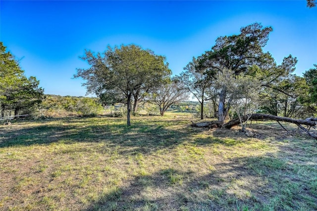 LOT17 Pedernales Point Dr, Spicewood, TX 78669 - photo 5