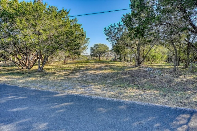 LOT17 Pedernales Point Dr, Spicewood, TX 78669 - photo 6