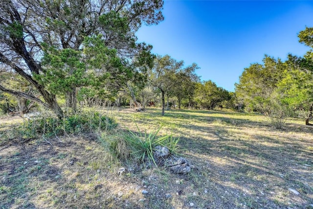 LOT17 Pedernales Point Dr, Spicewood, TX 78669 - photo 7