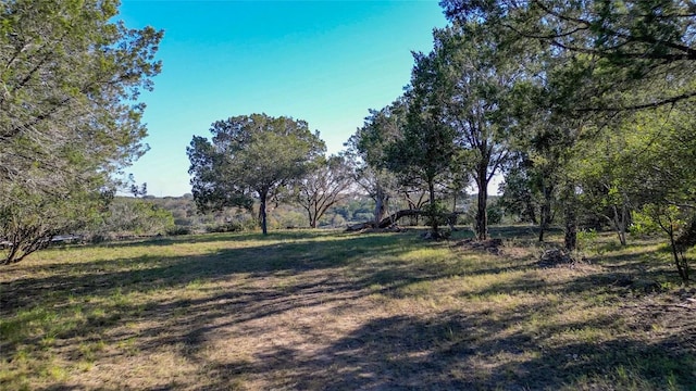 LOT17 Pedernales Point Dr, Spicewood, TX 78669 - photo 9