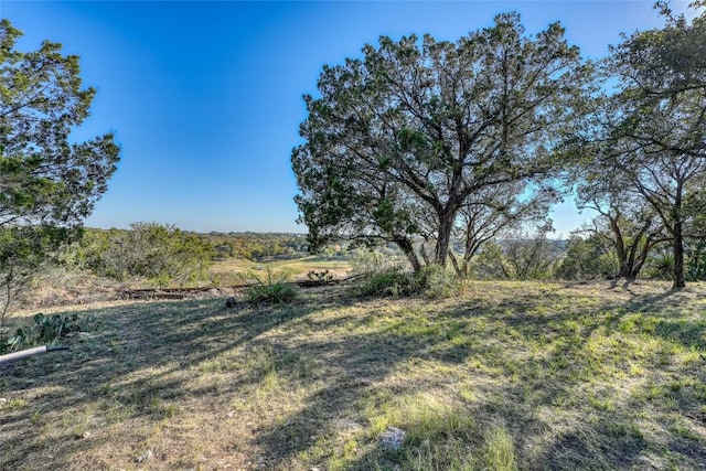 LOT17 Pedernales Point Dr, Spicewood, TX 78669 - photo 10
