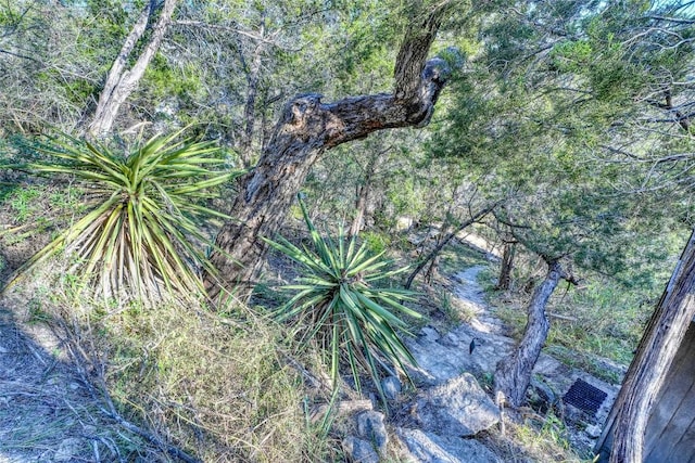 LOT17 Pedernales Point Dr, Spicewood, TX 78669 - photo 13