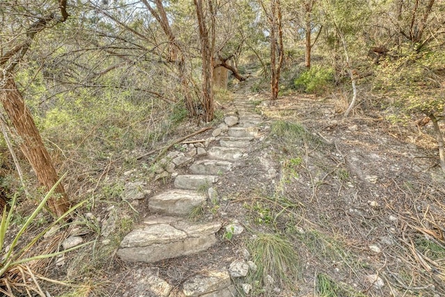 LOT17 Pedernales Point Dr, Spicewood, TX 78669 - photo 15