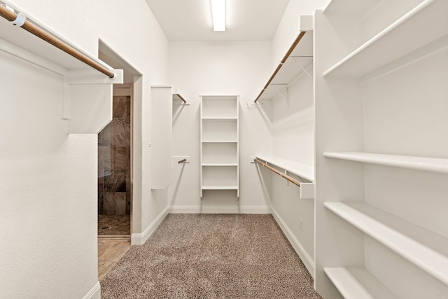 walk in closet featuring light carpet