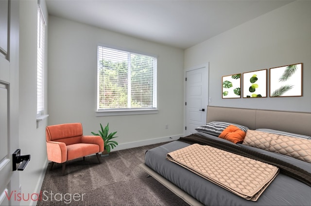 bedroom featuring carpet flooring