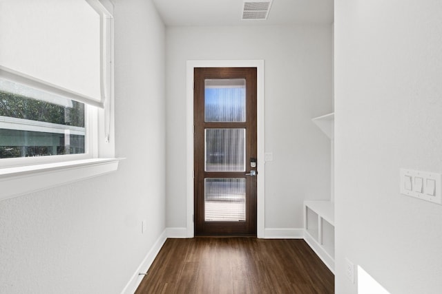 interior space featuring a wealth of natural light and dark wood-type flooring