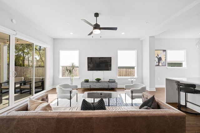 living room featuring ceiling fan and hardwood / wood-style floors