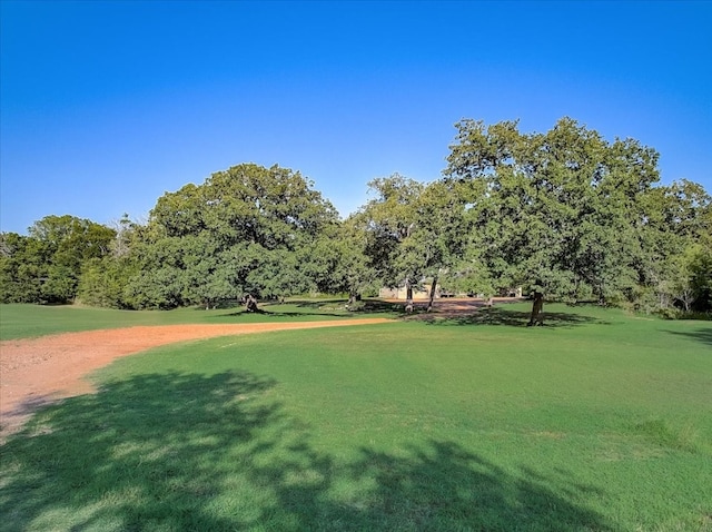 view of community with a yard