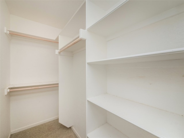 spacious closet with carpet