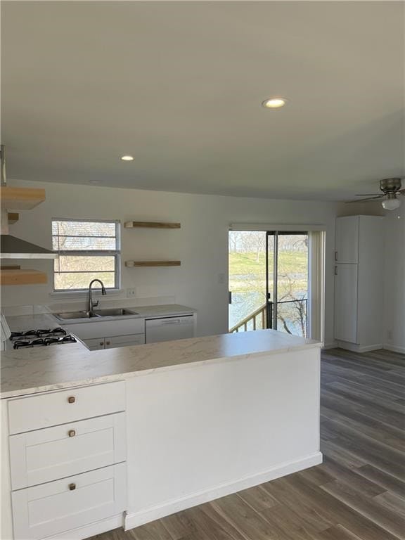 kitchen with plenty of natural light, dark hardwood / wood-style flooring, and sink