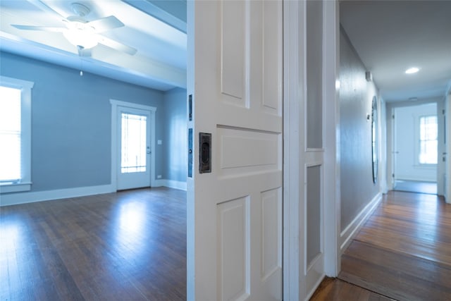 hall with dark hardwood / wood-style flooring