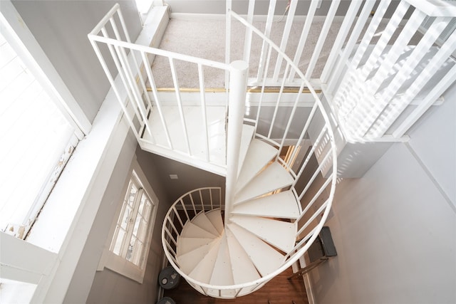 stairway with wood-type flooring