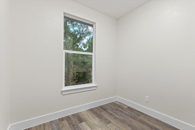 empty room featuring wood-type flooring