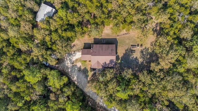 133 Blue Jack Oak Ln, Bastrop, TX 78602 - view from above of property
