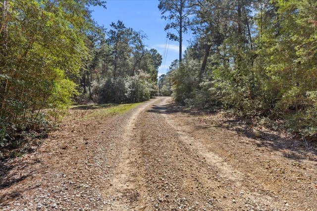 133 Blue Jack Oak Ln, Bastrop, TX 78602 - view of dirt / gravel road with a view of trees