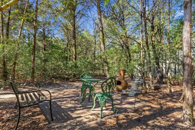 133 Blue Jack Oak Ln, Bastrop, TX 78602 - view of patio
