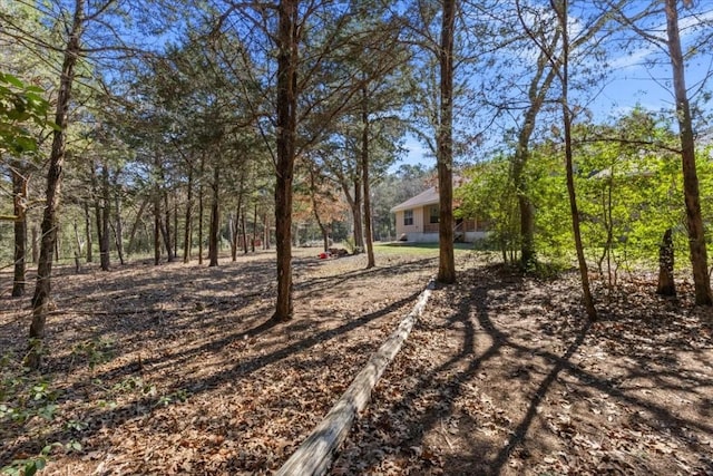 133 Blue Jack Oak Ln, Bastrop, TX 78602 - view of yard