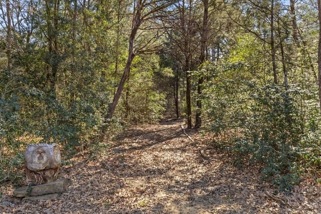 133 Blue Jack Oak Ln, Bastrop, TX 78602 - view of wooded area