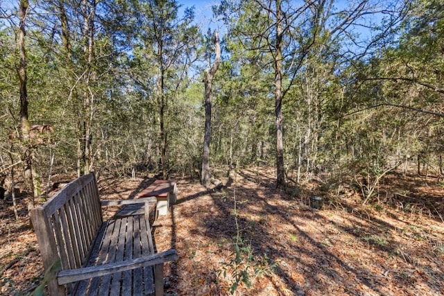 133 Blue Jack Oak Ln, Bastrop, TX 78602 - view of yard featuring a view of trees