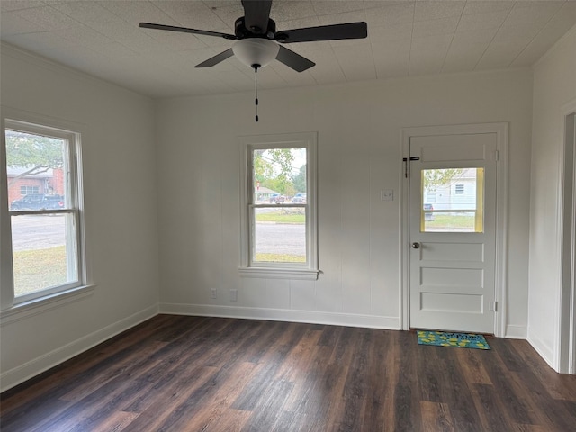 foyer entrance featuring dark hardwood / wood-style floors and plenty of natural light