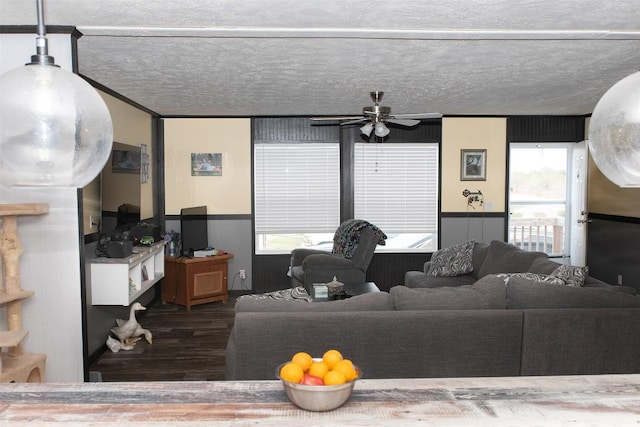 living area featuring a ceiling fan, wood finished floors, and a healthy amount of sunlight