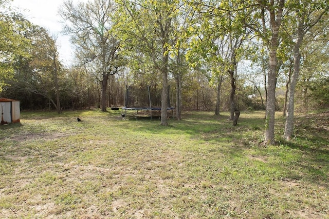 view of yard featuring a trampoline, a shed, and an outbuilding
