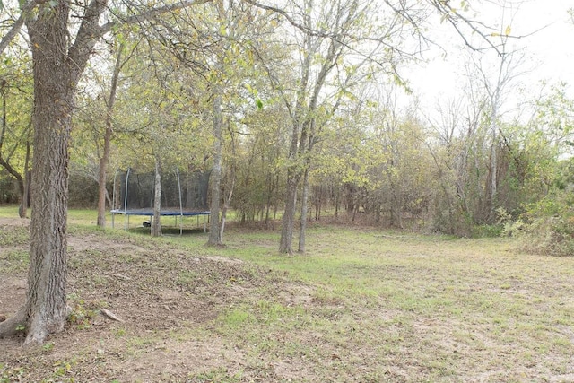 view of yard featuring a wooded view and a trampoline