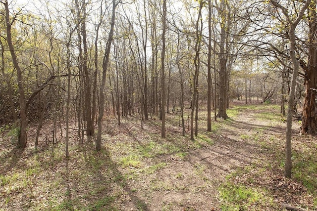 view of local wilderness with a wooded view