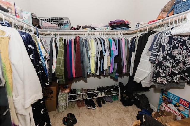 spacious closet with carpet flooring