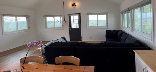 living room featuring hardwood / wood-style floors and lofted ceiling