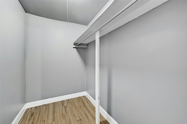 walk in closet with hardwood / wood-style floors