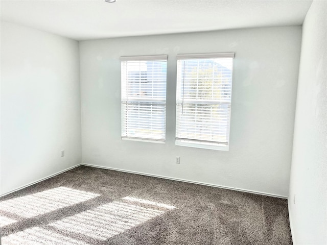 spare room with carpet flooring