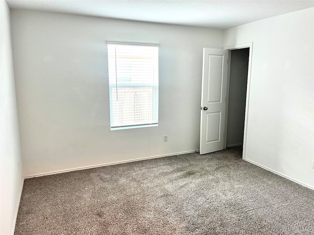 empty room featuring carpet floors