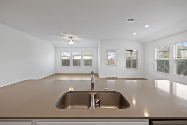 kitchen featuring hardwood / wood-style flooring, vaulted ceiling, a wealth of natural light, and sink