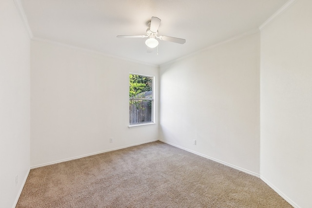 carpeted spare room with ceiling fan and ornamental molding