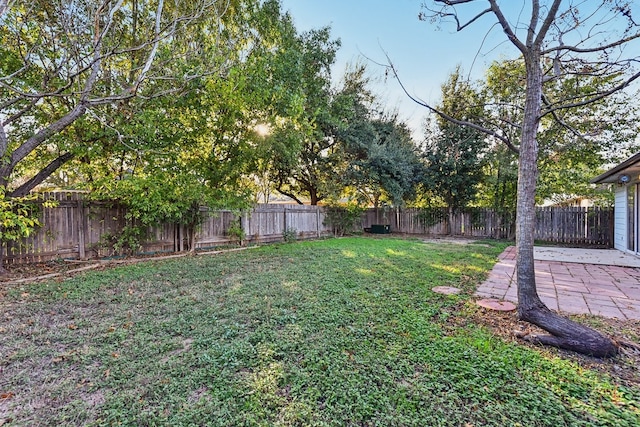 view of yard featuring a patio