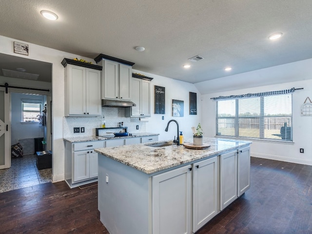 kitchen with dark hardwood / wood-style flooring, a wealth of natural light, and sink