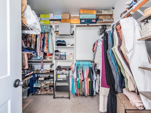 spacious closet featuring carpet