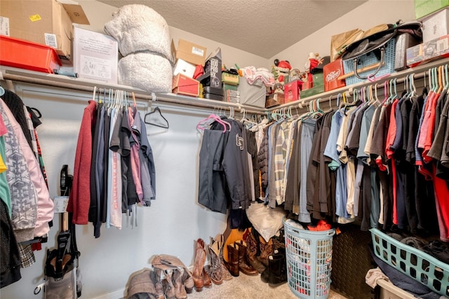 spacious closet featuring carpet