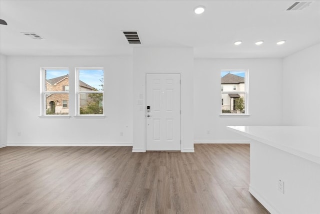 entrance foyer with wood-type flooring