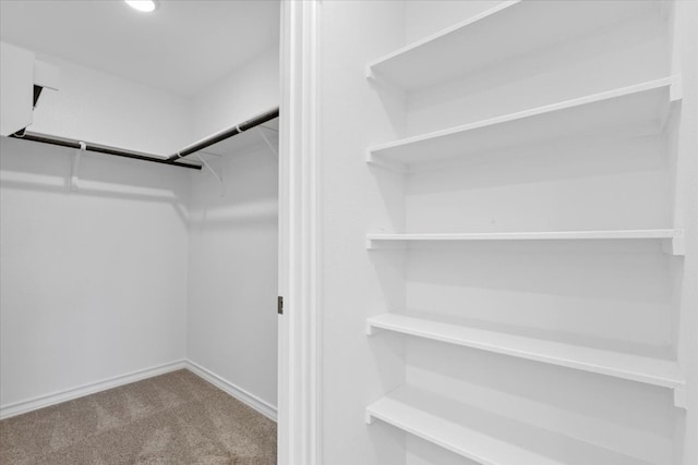 walk in closet featuring carpet