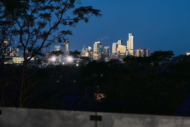 property's view of city