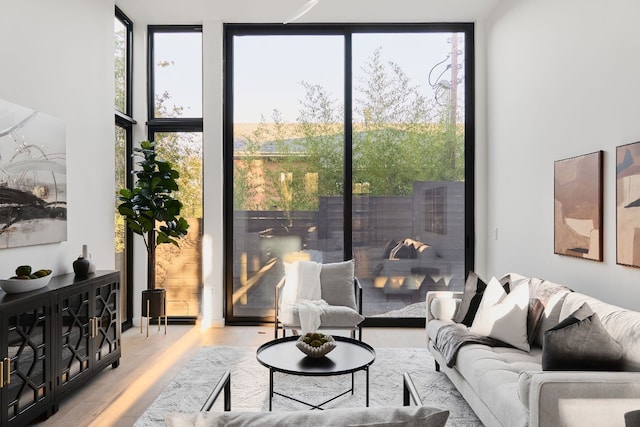 living room with light wood-type flooring