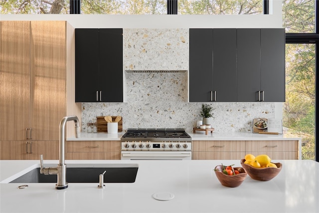 kitchen with decorative backsplash, sink, and stainless steel range