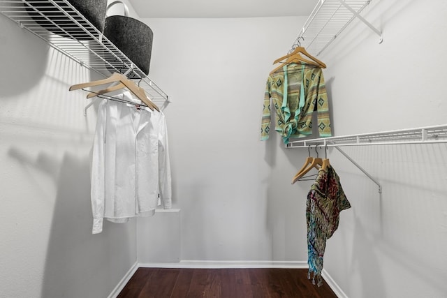 walk in closet with dark hardwood / wood-style floors