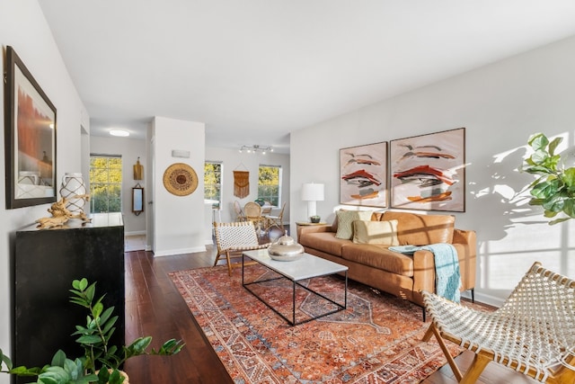 living room with dark hardwood / wood-style flooring