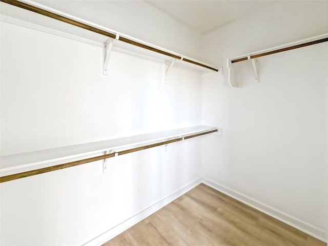 spacious closet featuring light hardwood / wood-style floors