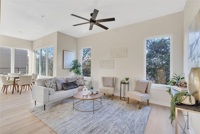 living room featuring ceiling fan and light hardwood / wood-style flooring