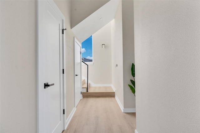 hall with light hardwood / wood-style flooring