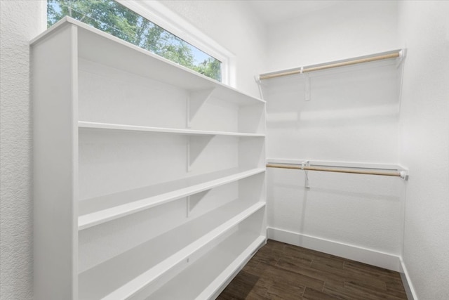 spacious closet featuring dark hardwood / wood-style flooring